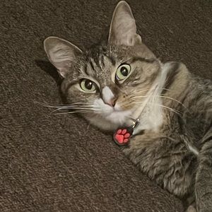 Meet your Posher, Meria